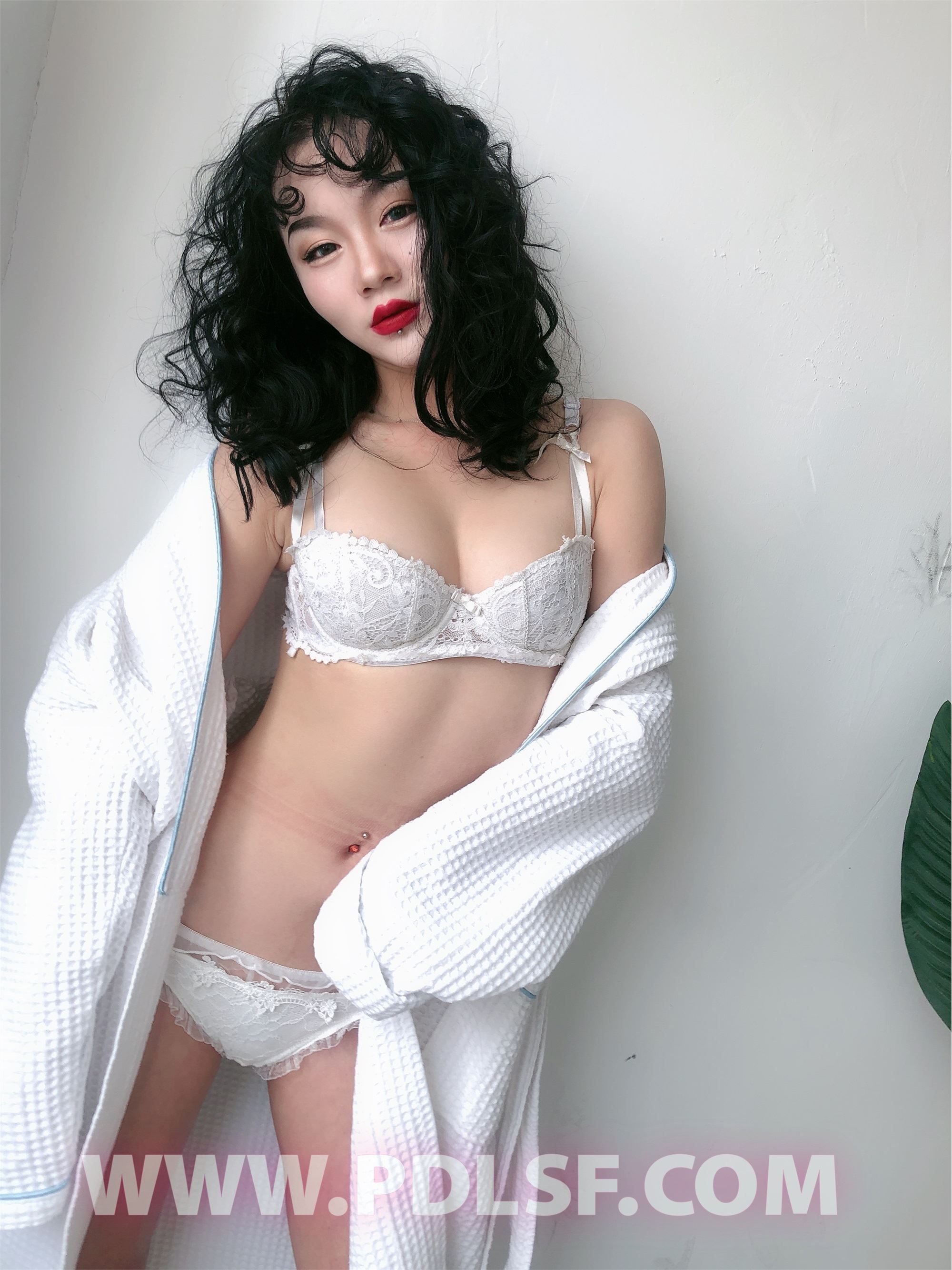 PDL潘多拉 2020.02.03 专辑No.277